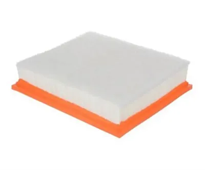 FRAM CA11895 Air - Panel Filter