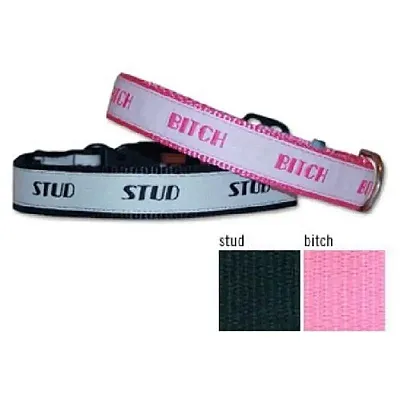 Fab Dog Bitch & Stud Collars - X Large - Bitch