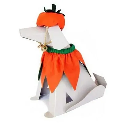 Flytes of Fancy Pumpkin Set - XS