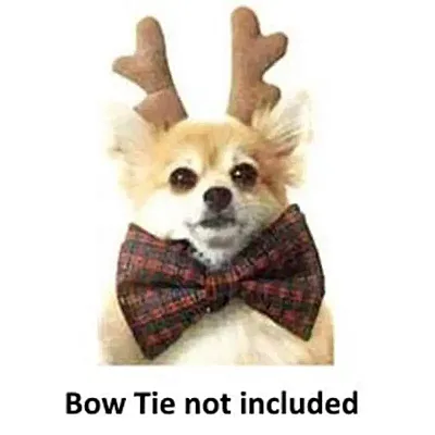 Flytes of Fancy Antlers - Large