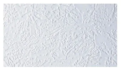 GENESIS PROD 569957 Pebble White 100&#039; Ceiling Kit