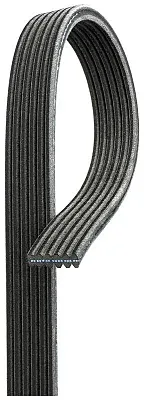 GATES CORP DK060472 V-Ribbed Belt
