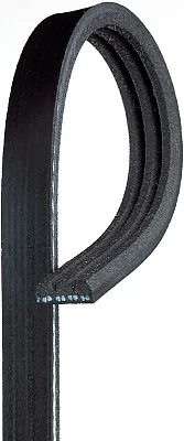 GATES CORP K030195SF V-Ribbed Belt