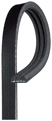 GATES CORP K030196SF V-Ribbed Belt