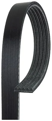 GATES CORP K050402 V-Ribbed Belt