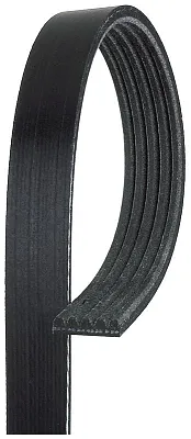 GATES CORP K050435 V-Ribbed Belt