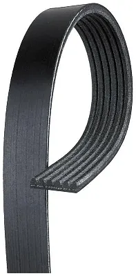 GATES CORP K060418 V-Ribbed Belt