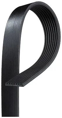GATES CORP K081264 V-Ribbed Belt
