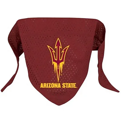 Hunter Arizona State Pet Mesh Bandana - Small