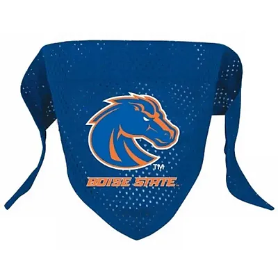 Hunter Boise State Pet Mesh Bandana - Small
