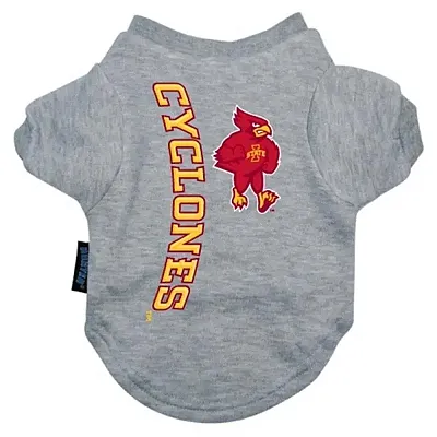 Hunter Iowa State Heather Grey Pet T-Shirt - X-Large