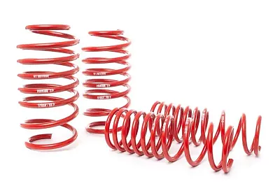 H&R 5166488 Race Spring