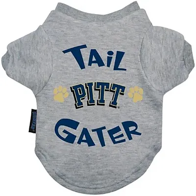 Hunter Pittsburgh Panthers Tail Gater Tee Shirt - X-Large