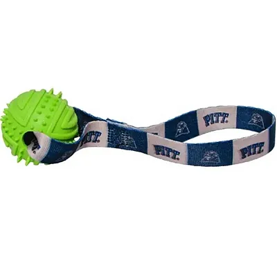 Hunter Pittsburgh Panthers Rubber Ball Toss Toy