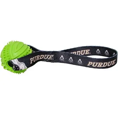 Hunter Purdue Boilermakers Rubber Ball Toss Toy