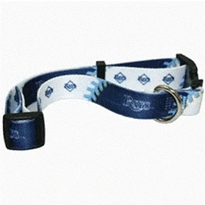 Hunter Tampa Bay Rays Dog Collar - Medium