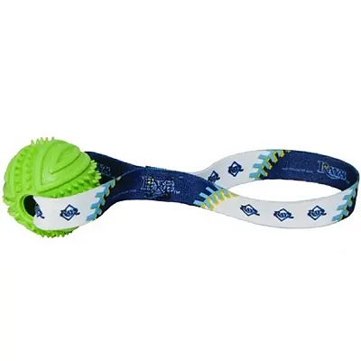 Hunter Tampa Bay Rays Rubber Ball Toss Toy
