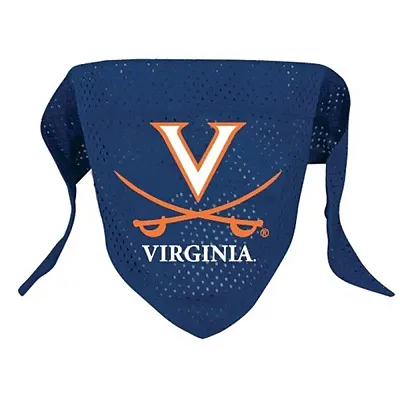 Hunter Virginia Cavaliers Pet Mesh Bandana - Small