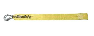 IMMI F14211 Winch Strap With Loop End 2&#039; X 25&#039;