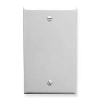 Flush Blank Wall Plate