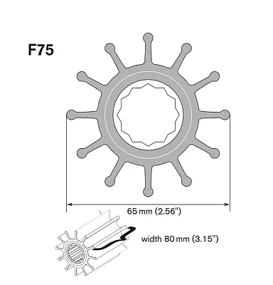 JOHNSON PUMP 09821BT1 Impeller Kit F75 W Thread Mc 97