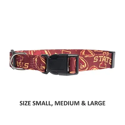 Little Earth Productions Iowa State Cyclones Pet Nylon Collar - XS