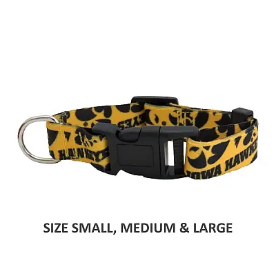 Little Earth Productions Iowa Hawkeyes Pet Nylon Collar - Small