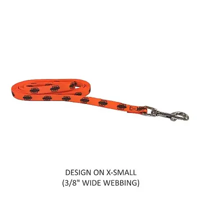Little Earth Productions Oklahoma State Cowboys Pet Nylon Leash - XS