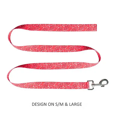 Little Earth Productions Wisconsin Badgers Pet Nylon Leash - XS