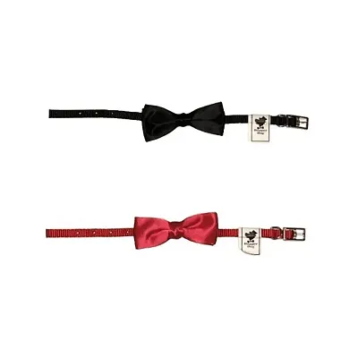 Little Giant Dog Bow Tie Collar - Small - Black