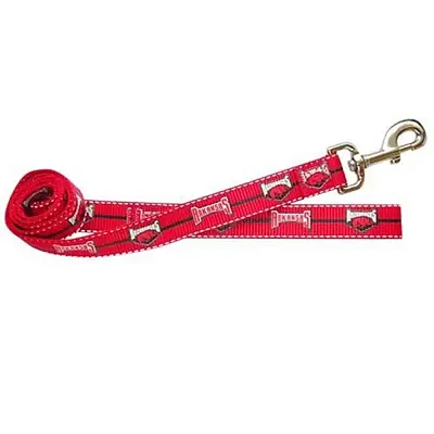Pet Goods Manufacturing Arkansas Razorbacks Pet Reflective Nylon Leash - Small
