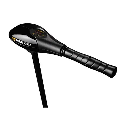 MINN KOTA 1352270M Endura C2 30 With Battery Meter