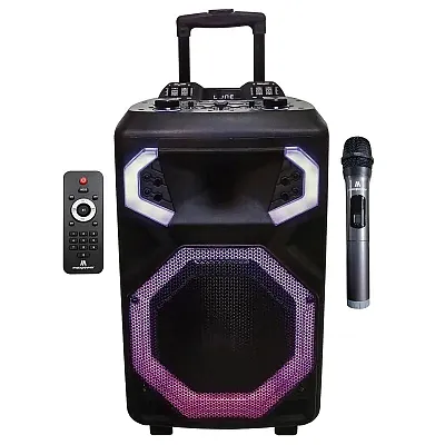 Maxpower Portable 12&quot; Woofer Bluetooth Professional Speaker System
