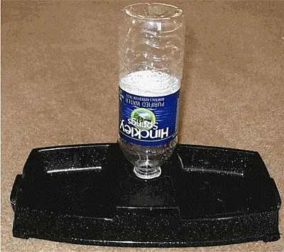 Molor Products Mini Food 'N' Fountain - Black