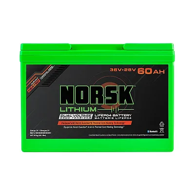 NORSK INC V3628060GH 36V+28V-60Ah-Lifepo4-Bat-Gdn-H