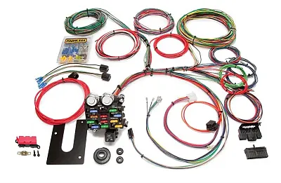 PAINLESS WRG 10101 12 Circuit Wire Asmbly Gm
