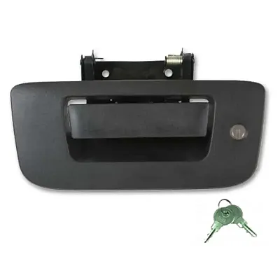 POPNLOCK LLC PL1310 T Gate Gm Pu Full 07-12