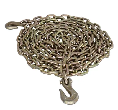 PACIFIC CARG 31G7020B1 5/16'X20' Chain Assembly W/ Gh