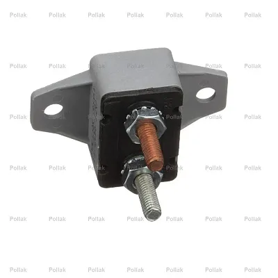 POLLAK 54220PLV 20 Amp Circuit Breaker Pk