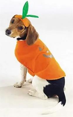 Pet Edge Pumpkin Pup Costume - Large