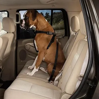Pet Edge Guardian Gear Car Harness - S/M