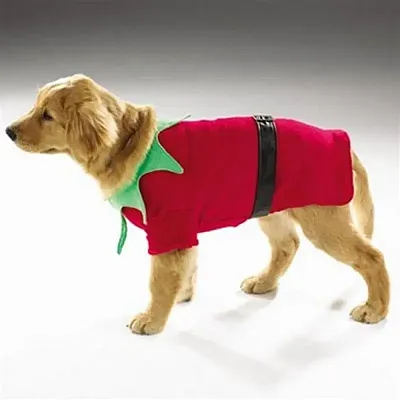 Pet Edge Santas Elf Suit - X Small