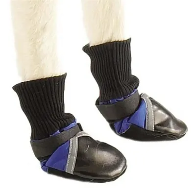 Pet Edge Guardian Gear Dog Boots (set of 4) - Medium (up to 3.75") - Blue
