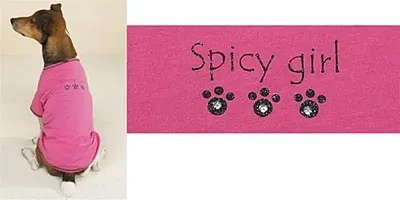 Pet Edge Spicy Girl Rhinestone Tee - Large