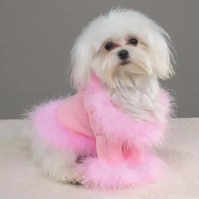 Pet Edge Puttin On The Glitz Sweaters - White - Large