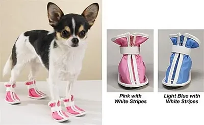 Pet Edge Sporty Boots - Blue - XX Small