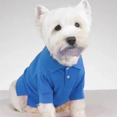 Pet Edge Preppy Puppy Polos - Cape Blue - Large