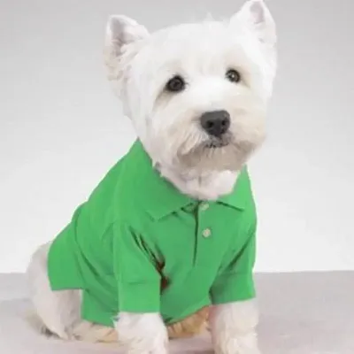 Pet Edge Preppy Puppy Polos - Hampton Green - Large