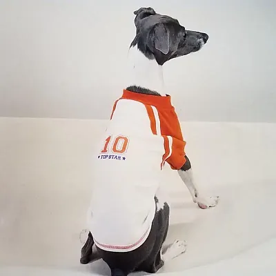 Casual Canine; Pet Edge Top Star Sport Tee - X Small