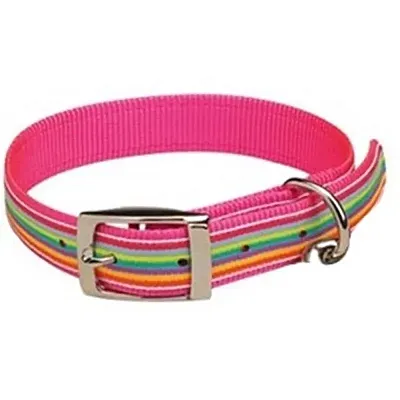 Pet Edge Preppy Puppy Collars - Large